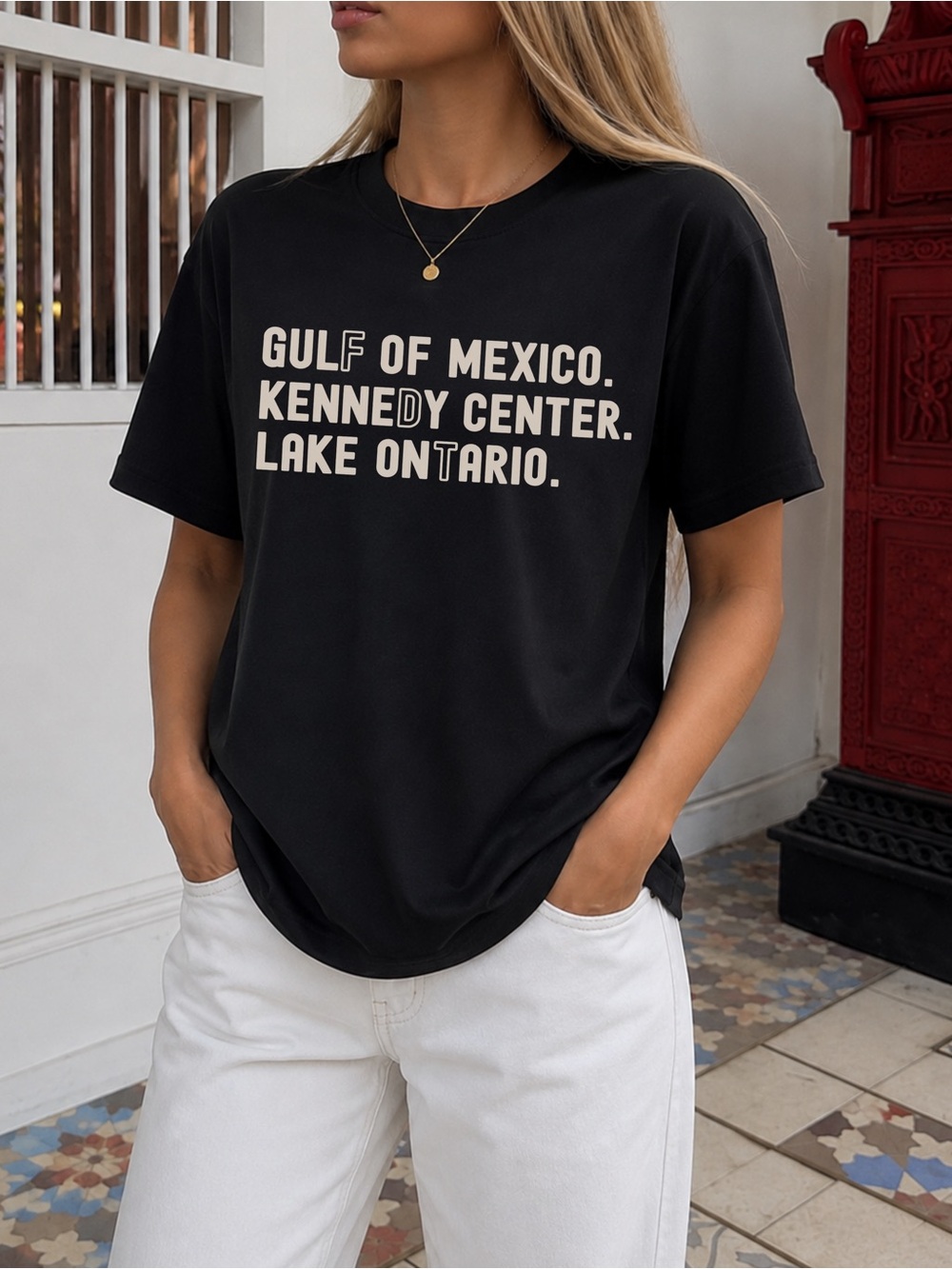 Gulf Of Mexico Lake Ontario Tee Political Statement Unisex T-Shirt